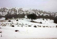 گزارش تصویری از یک روز برفی در شاهرود